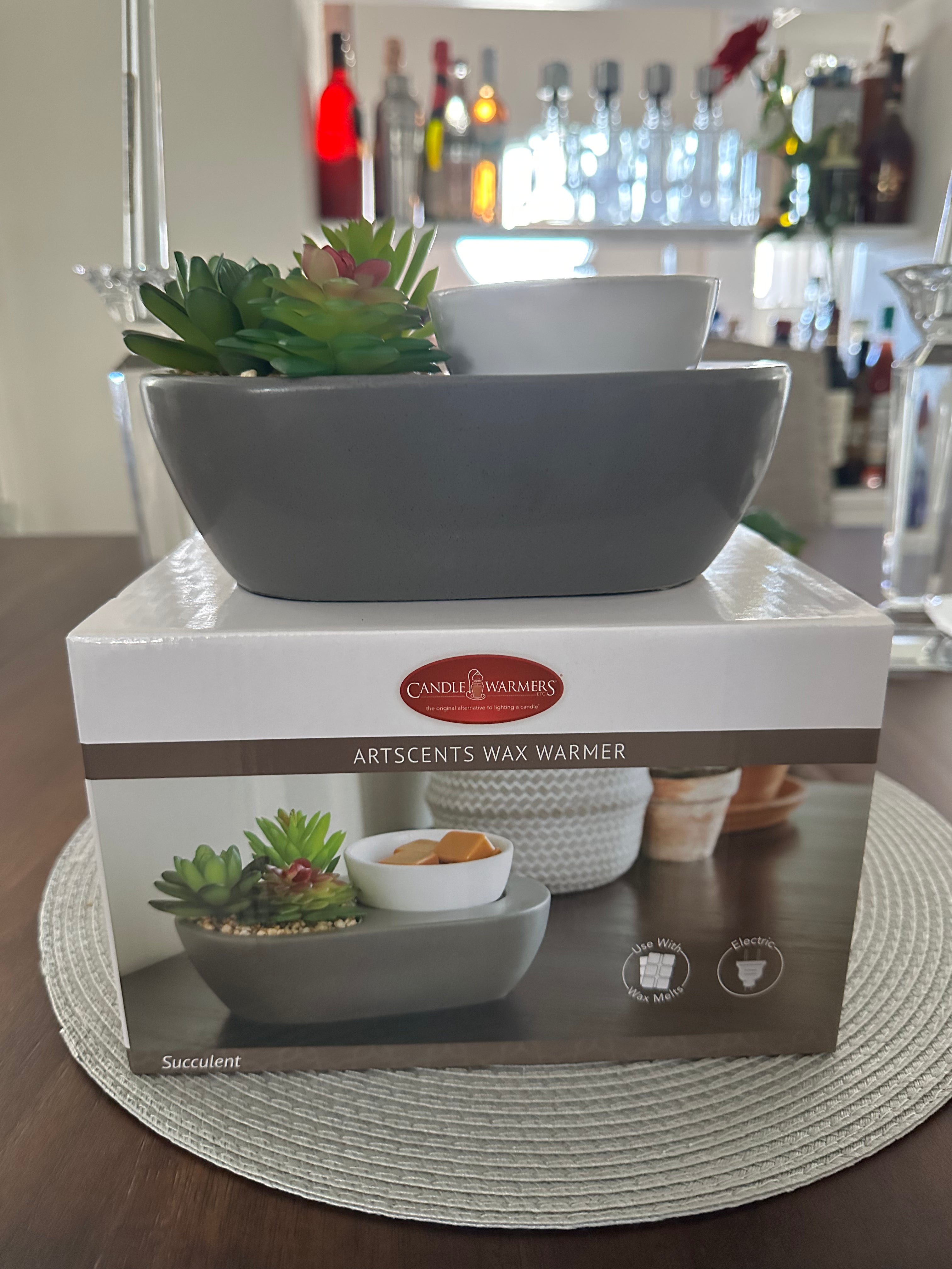 Succulent Garden Wax Melt Warmer – Satin Gray Stoneware Base with White Dish & Pebble Planter