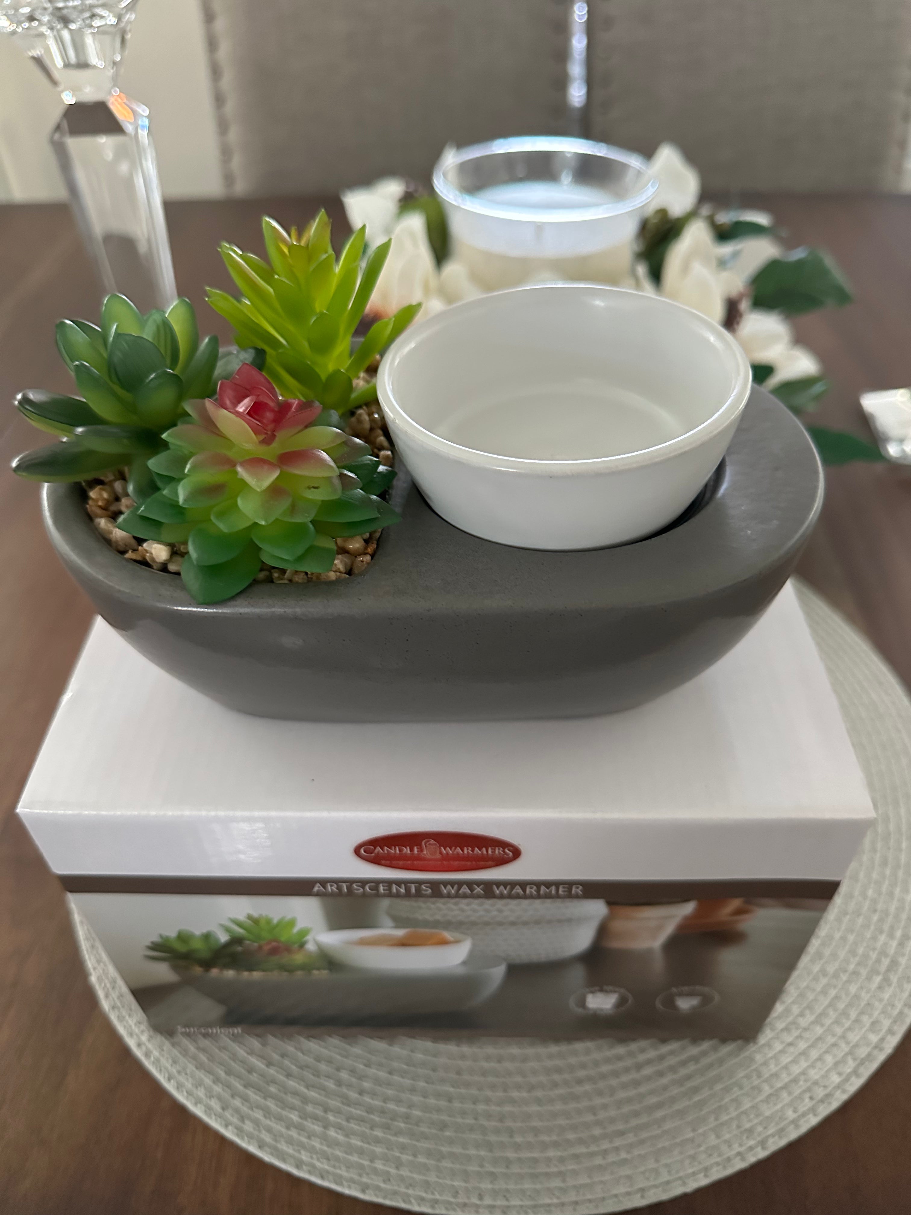 Succulent Garden Wax Melt Warmer – Satin Gray Stoneware Base with White Dish & Pebble Planter